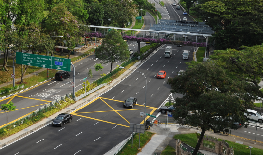 Entering & Exiting Singapore