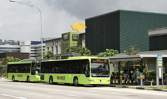 Green livery bus