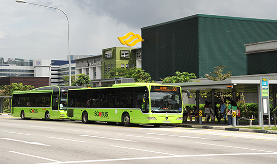 A bus in Lush Green livery