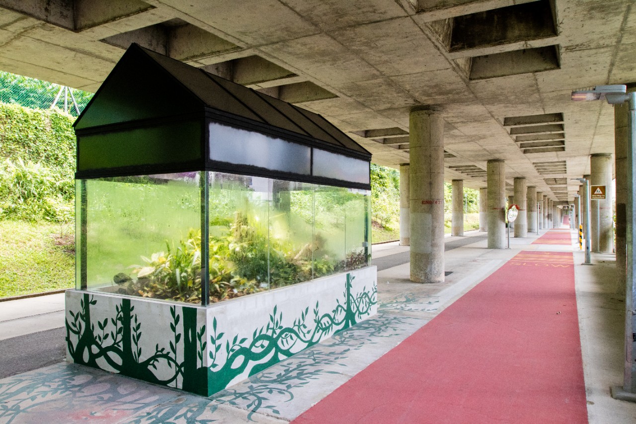 Sheltered cycling path lined with greenery