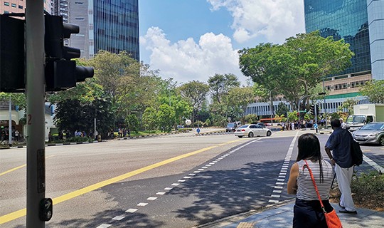 Signalised Pedestrian Crossing
