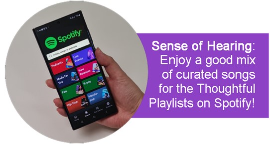 Thoughtful Bunch Playlists