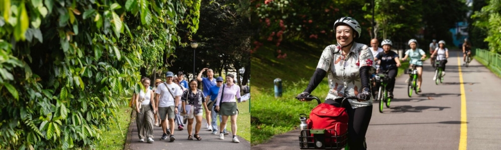 nsc_walking_and_cycling_conversations