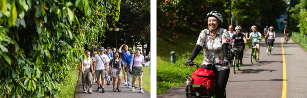 nsc_walking_and_cycling_conversations