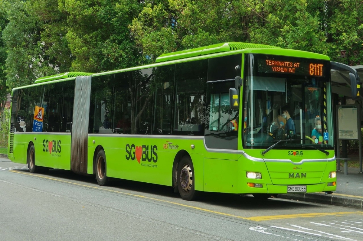 New Bus 2 v2 Lush Green livery representing SG buses