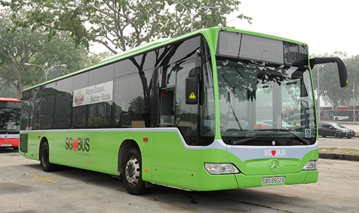Lush Green livery bus