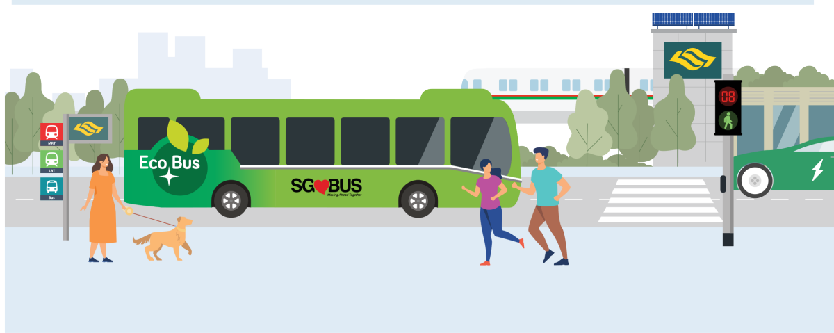 Graphic of our public transport modes and rpads