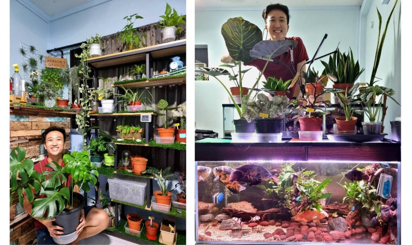 Image showing LTA'S Transformation Office colleague, Edison Phang with his plants at home