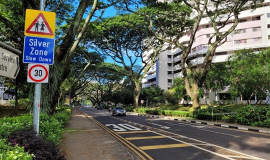 Image of Silver Zone