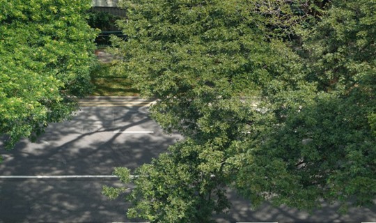 Image of aerial view of trees above roads