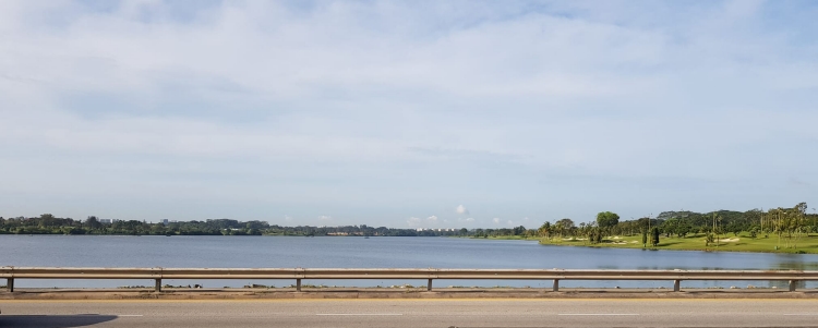 Image of Yishun Dam waters