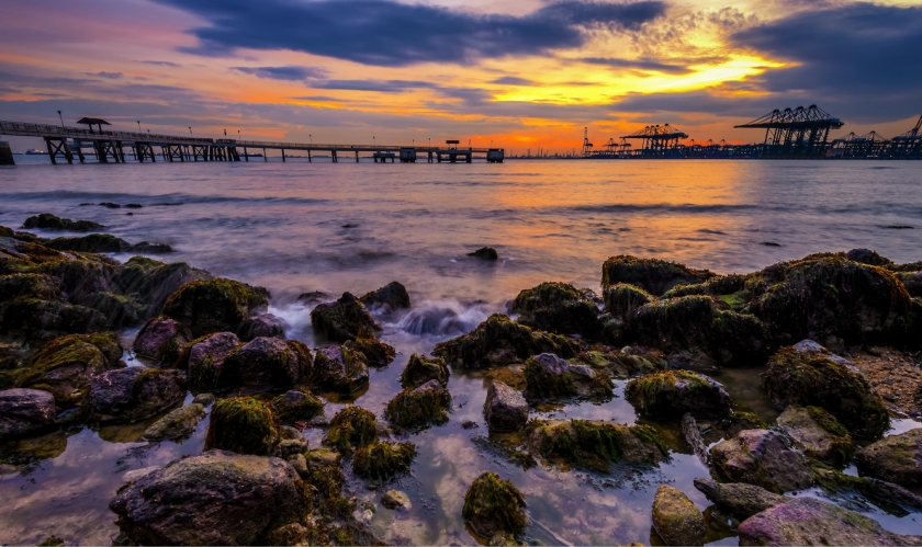 Image of Labrador Park