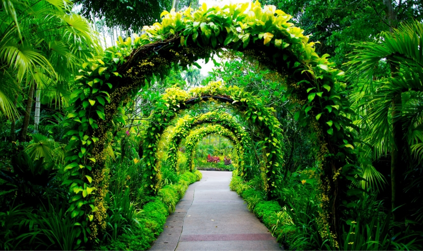 Image of Botanic Gardens
