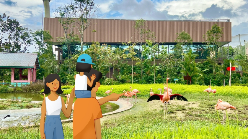 Image of Bird Paradise