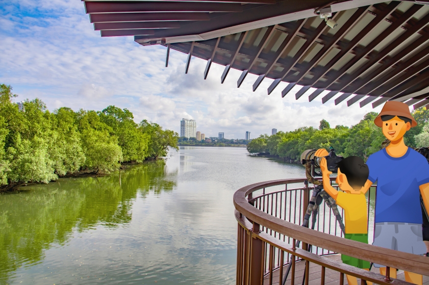 Image of Sungei Buloh Wetlands Reserve